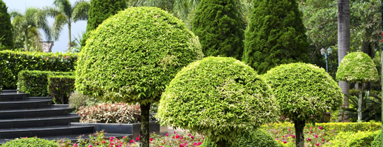 residential garden care