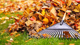 Greenleaf can help with all your garden maintenance