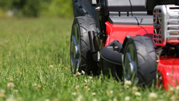 call us for Lawn mowing in Fremantle
