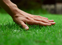 local lawn mowing men