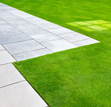 Office Garden Care and maintenance